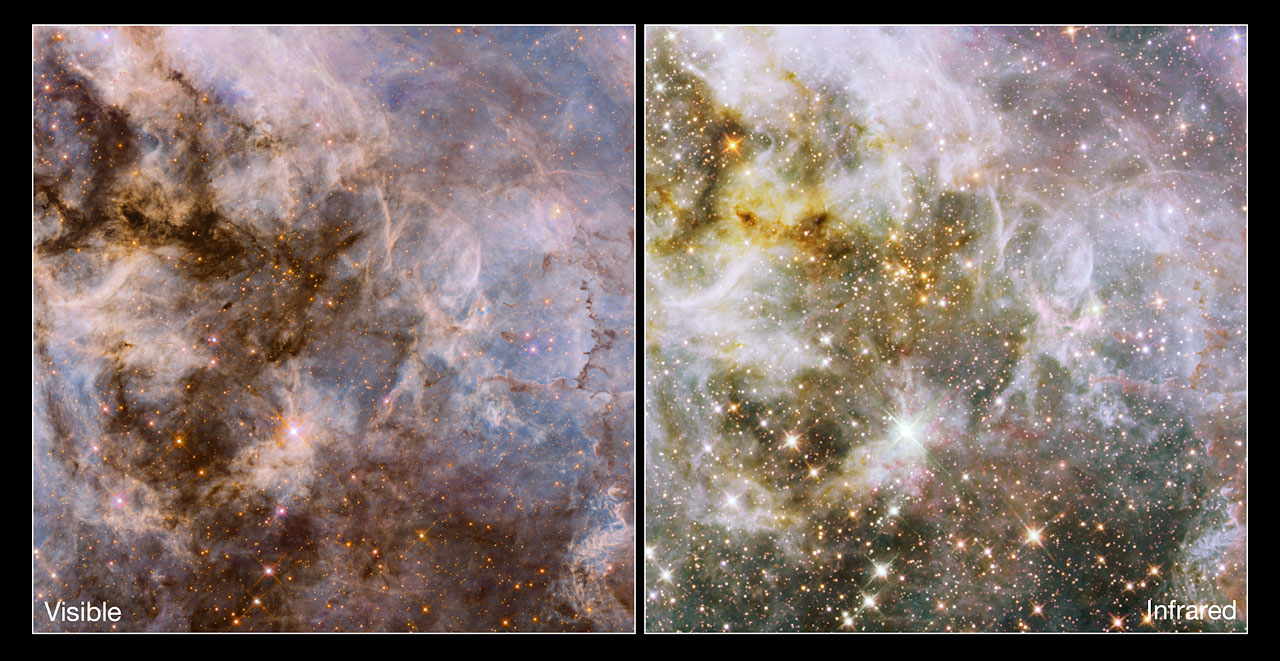 Cosmic Creepy-Crawly: A Peek Inside The Tarantula Nebula
